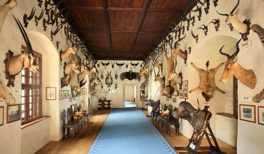 Africký sál, SZ Telč